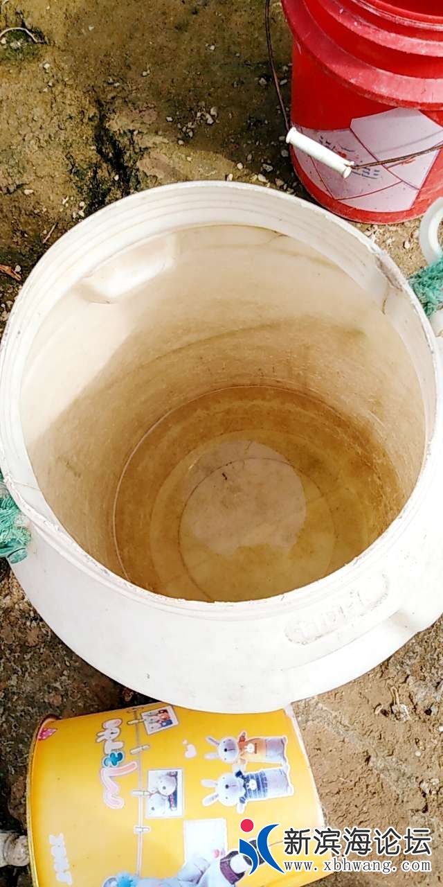 20190824_95640_1566629949915.jpg