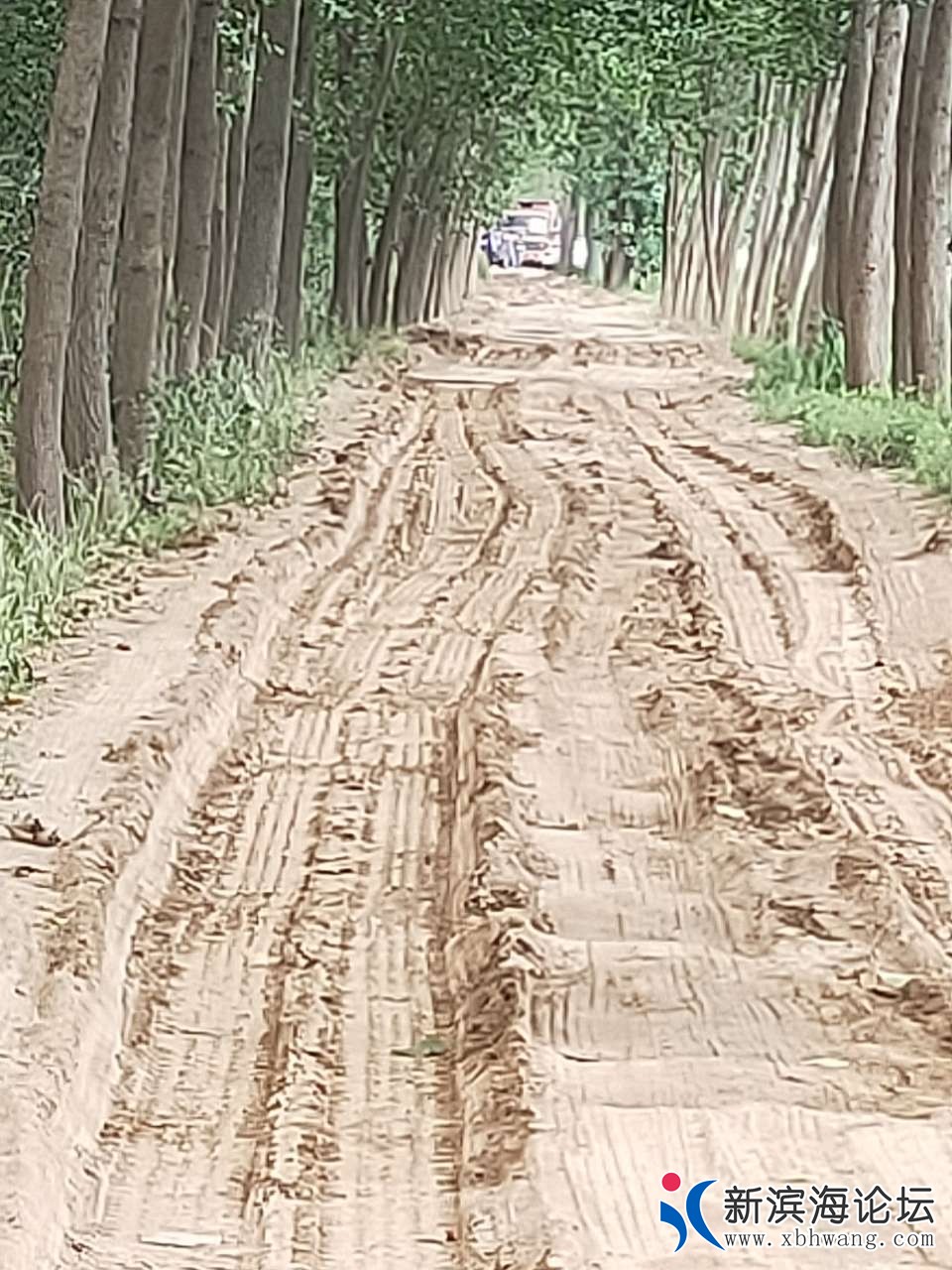 20190825_78709_1566706556509.jpg