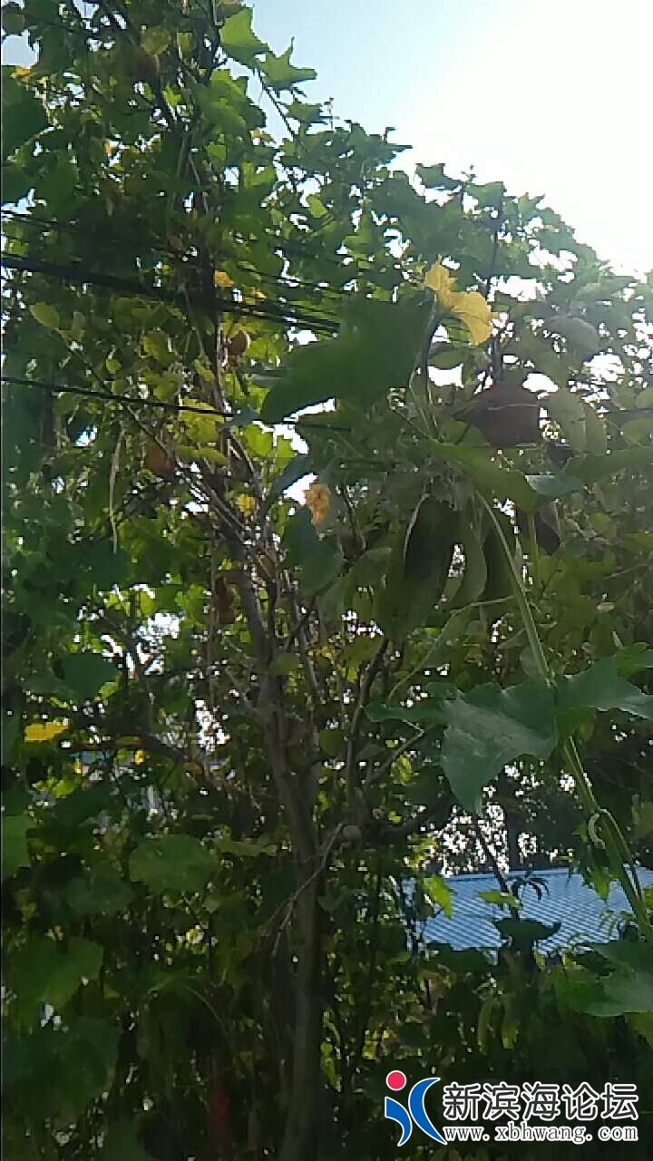 20190826_51941_1566809844074.jpg
