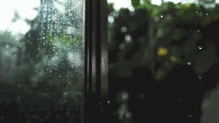 微信图片_20190827091242.gif