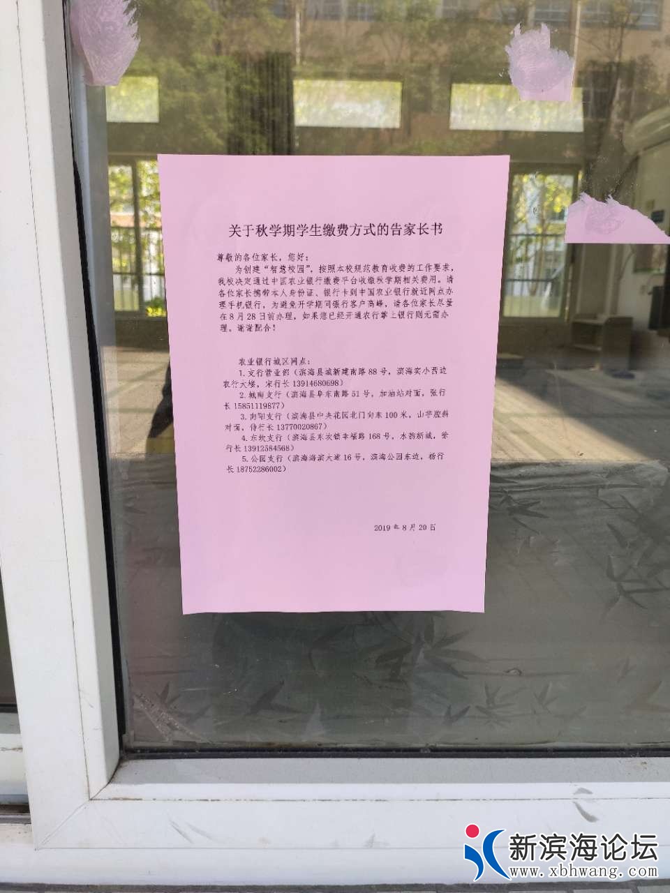 083811onpek2ykzynva2sa.jpg