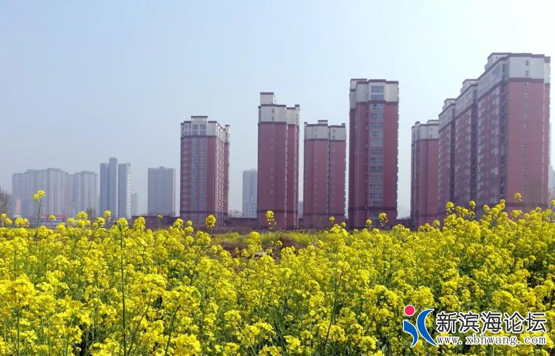 微信图片_20190901083721.jpg