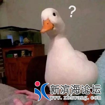 微信图片_20190901084217.jpg