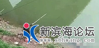 20190907941331567839445222104.jpg