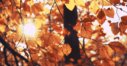 20190908_15974_1567901625380.gif