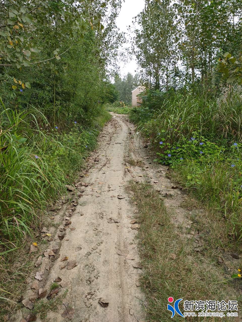 20190910_95775_1568087421646.jpg