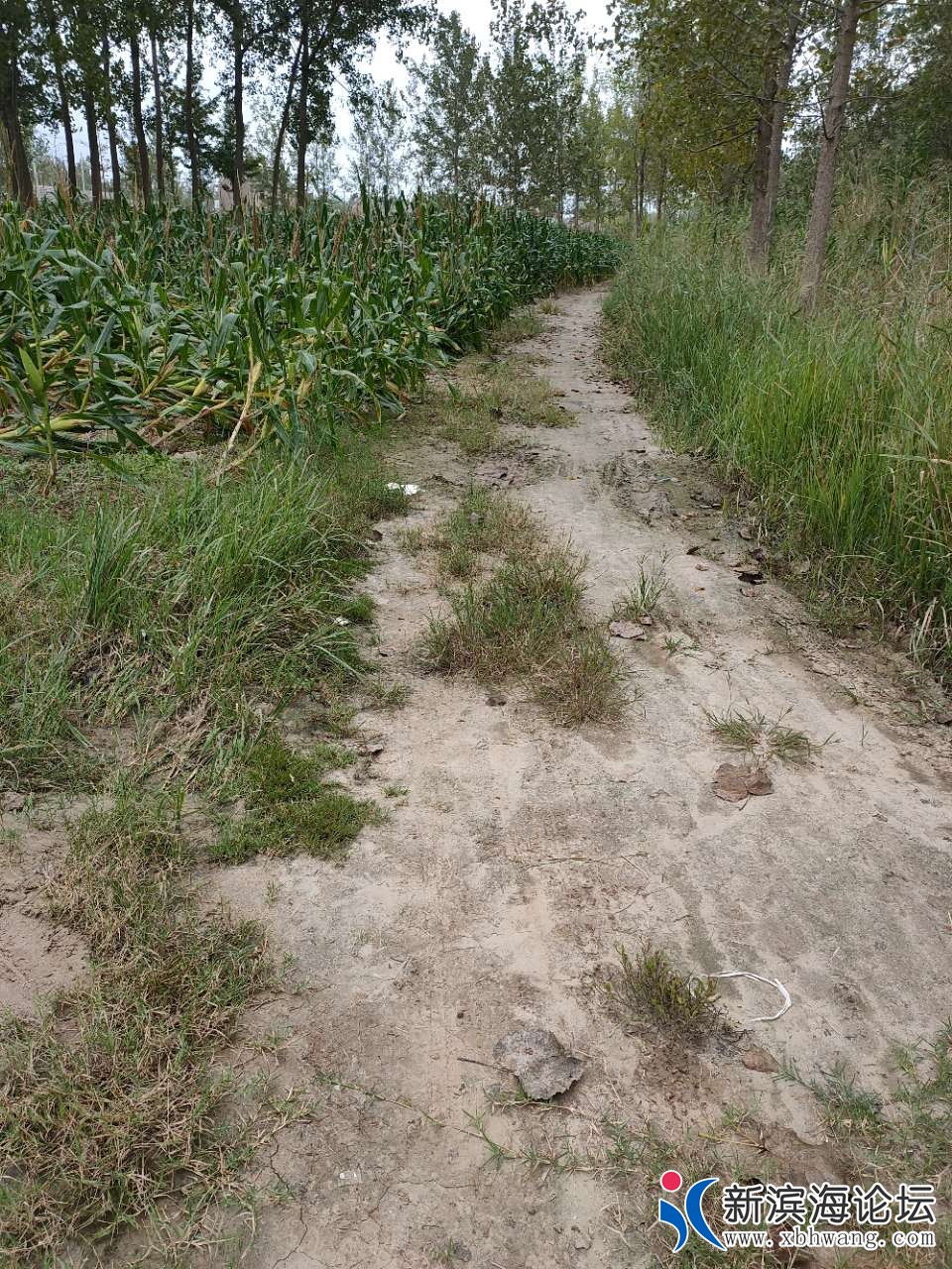 20190910_95775_1568087422275.jpg