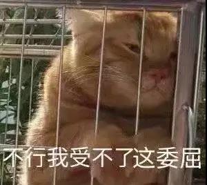 微信图片_20190916081941.jpg
