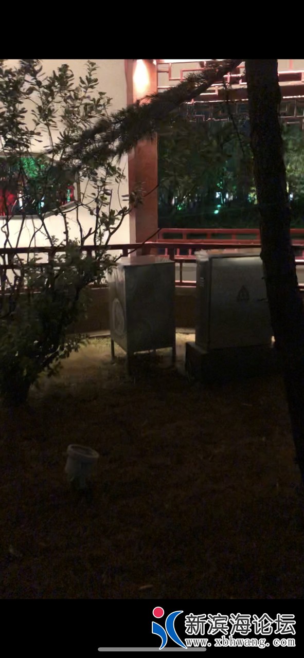 20190917616451568672265757447.jpg