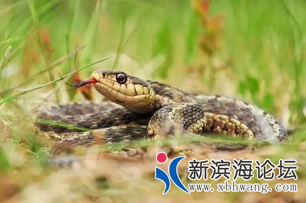 微信图片_20190920082107.jpg