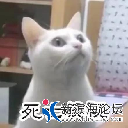微信图片_20190921085420.jpg