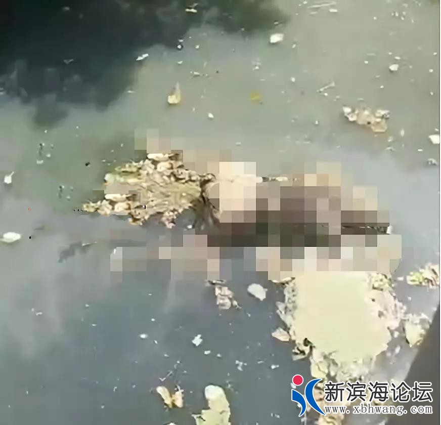 微信图片_20190921171503.jpg