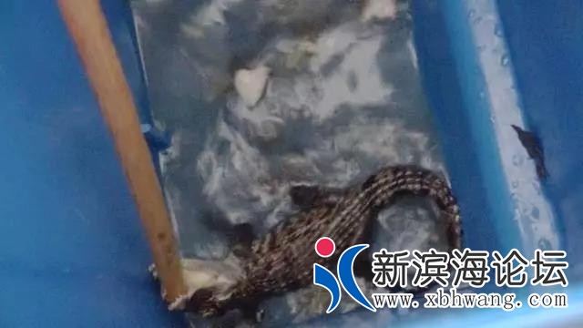 微信图片_20190923174238.jpg