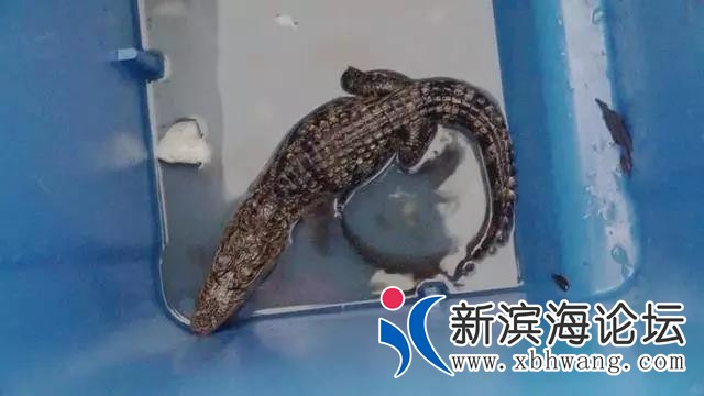 微信图片_20190923174241.jpg
