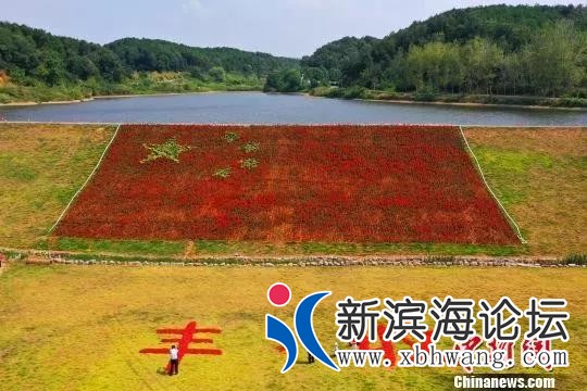 微信图片_20190924085611.jpg