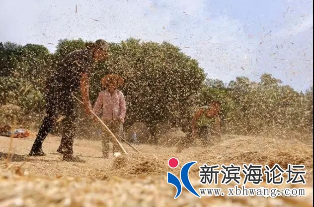 微信图片_20190924085617.jpg