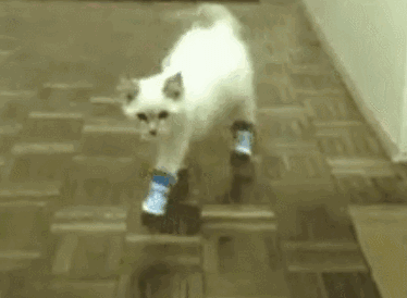 微信图片_20190925081317.gif