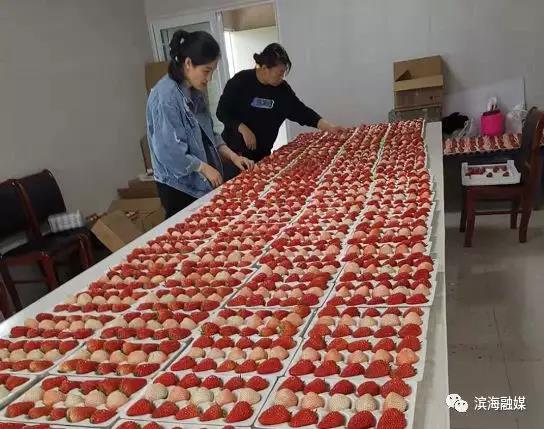 微信图片_20190925082703.jpg