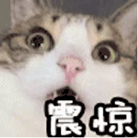 20190926640751569457193564567.gif