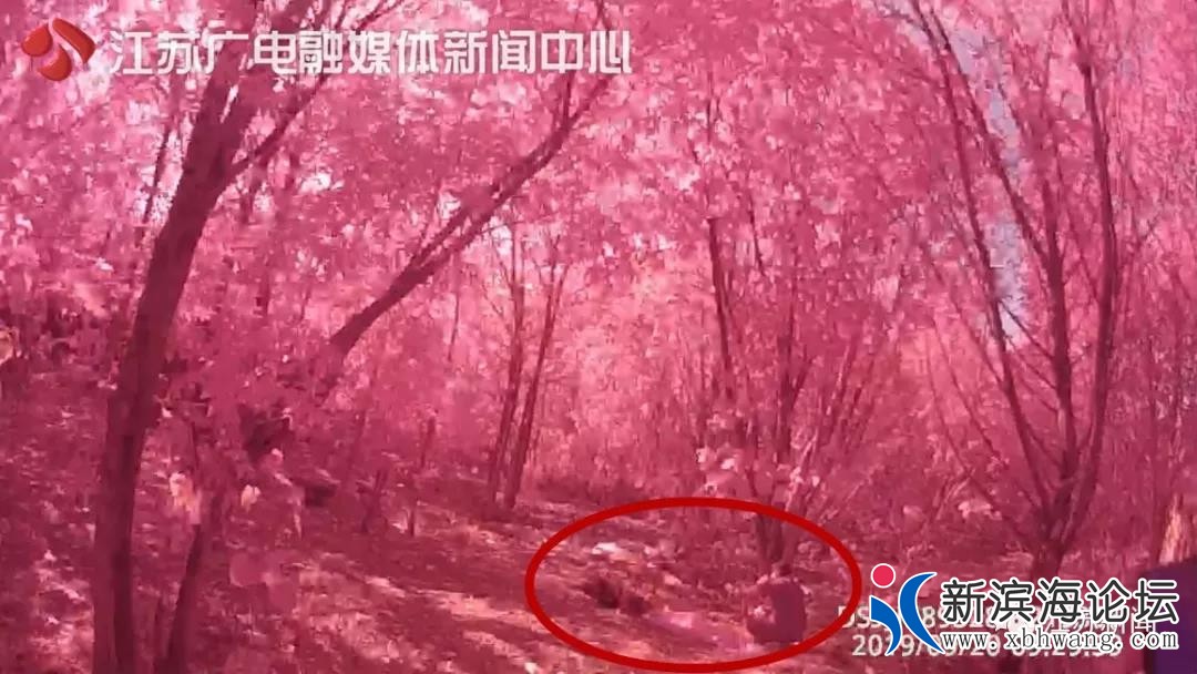 微信图片_20190926084010.jpg