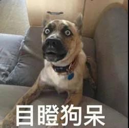 微信图片_20190927082023.jpg
