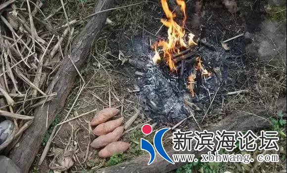 微信图片_20191001083640.jpg