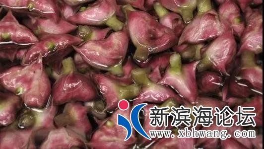 微信图片_20191001083630.jpg