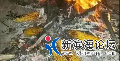 微信图片_20191001083643.jpg