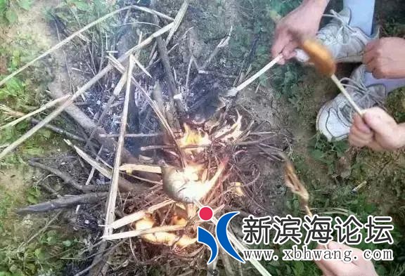微信图片_20191001083645.jpg