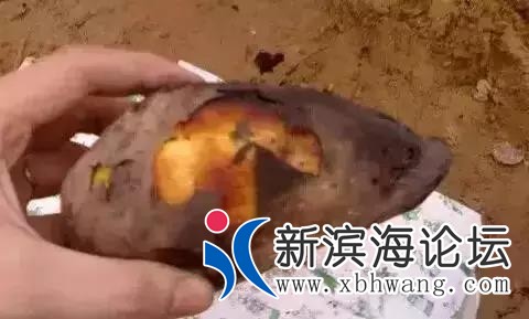 微信图片_20191001083642.jpg