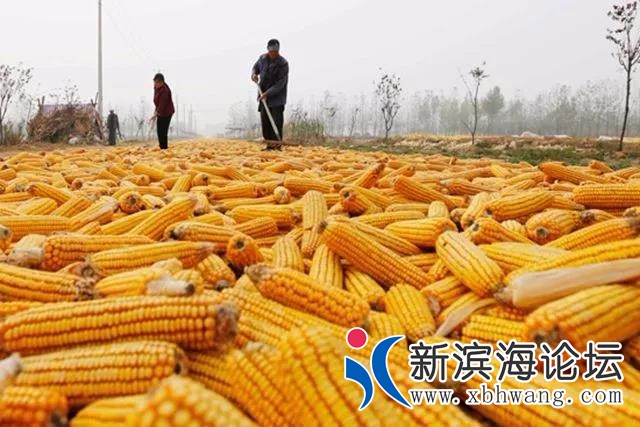 微信图片_20191004082924.jpg