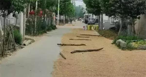 微信图片_20191004082931.jpg