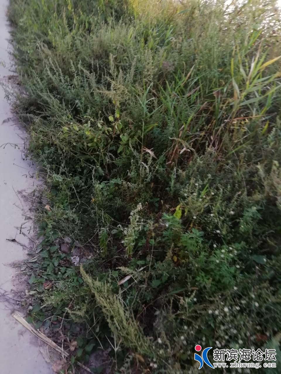 20191007_50711_1570455448166.jpg