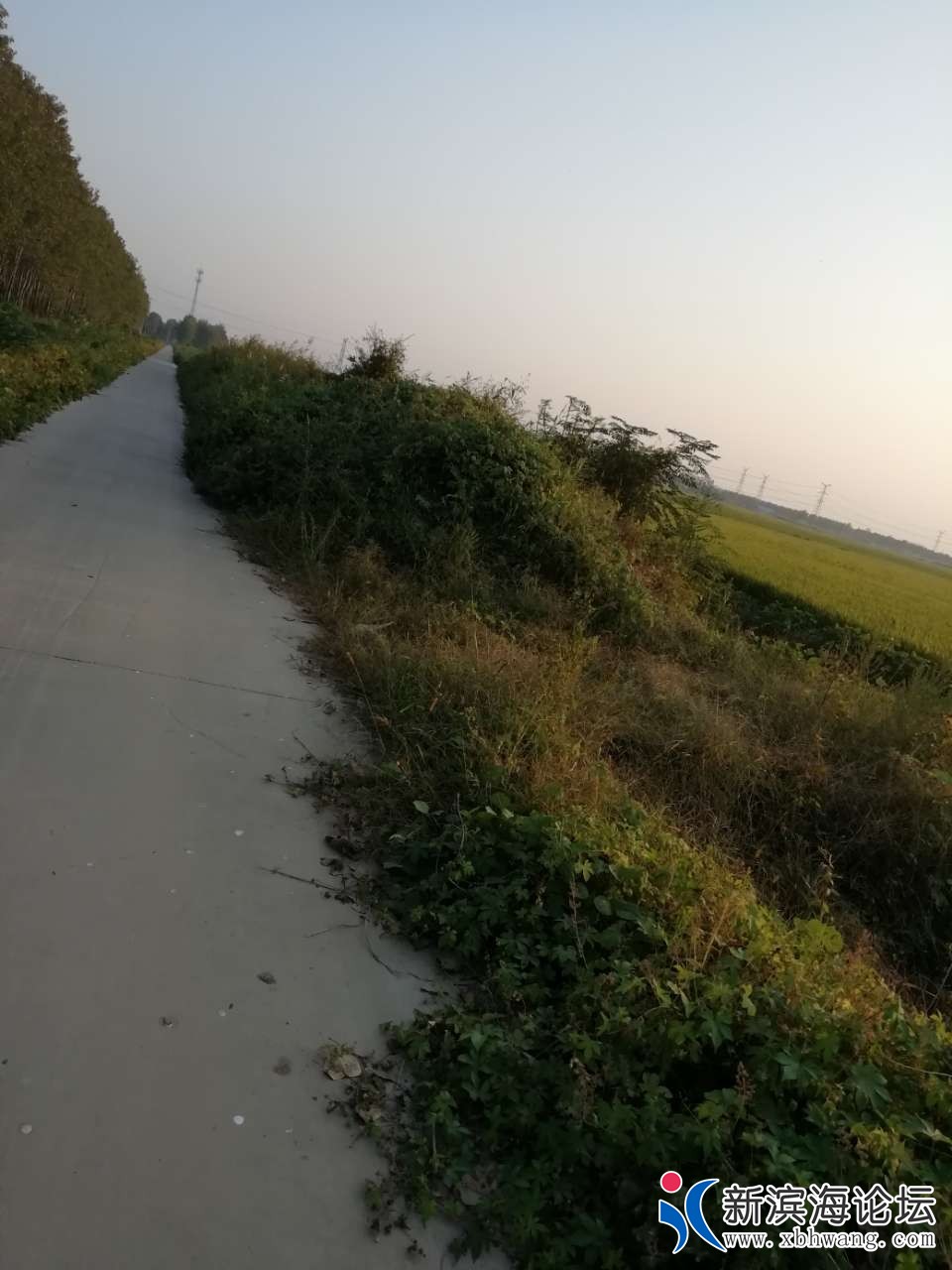 20191007_50711_1570455449120.jpg