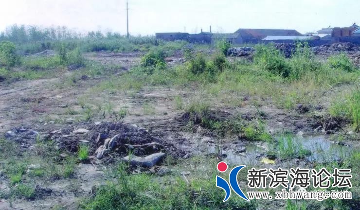 微信图片_20191008084638.jpg