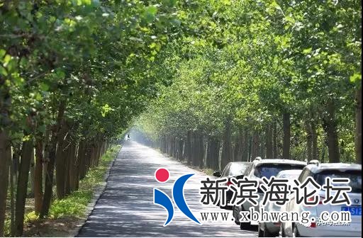 微信图片_20191008084701.jpg