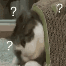 微信图片_20191009085358.gif