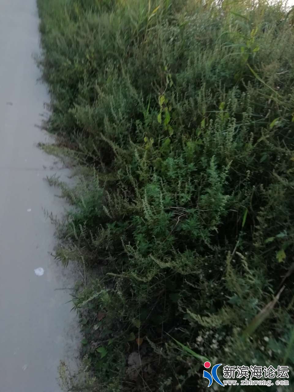 20191010_50711_1570708864173.jpg