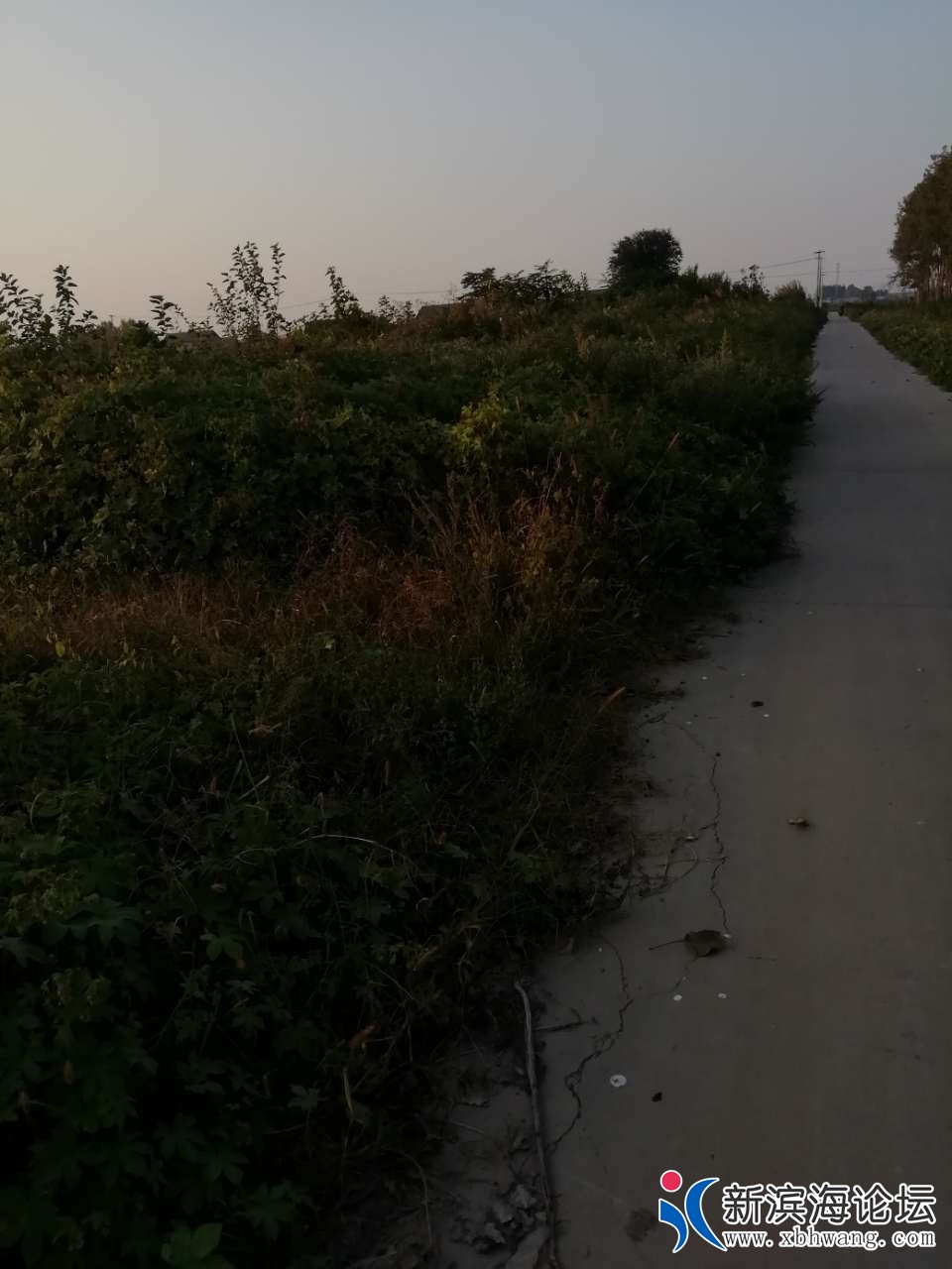20191010_50711_1570708865289.jpg