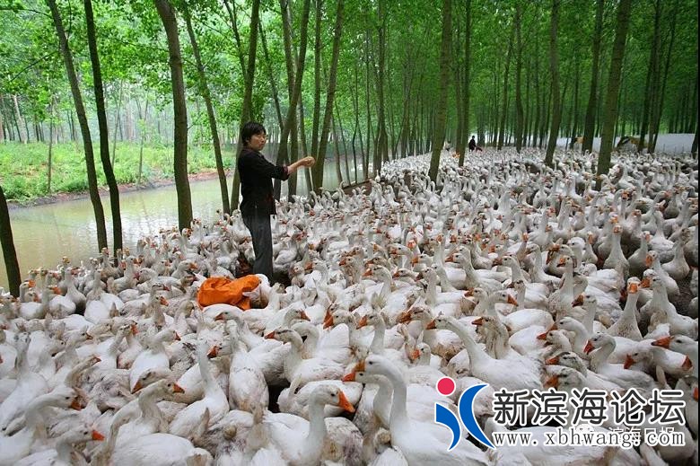 微信图片_20191018090824.jpg