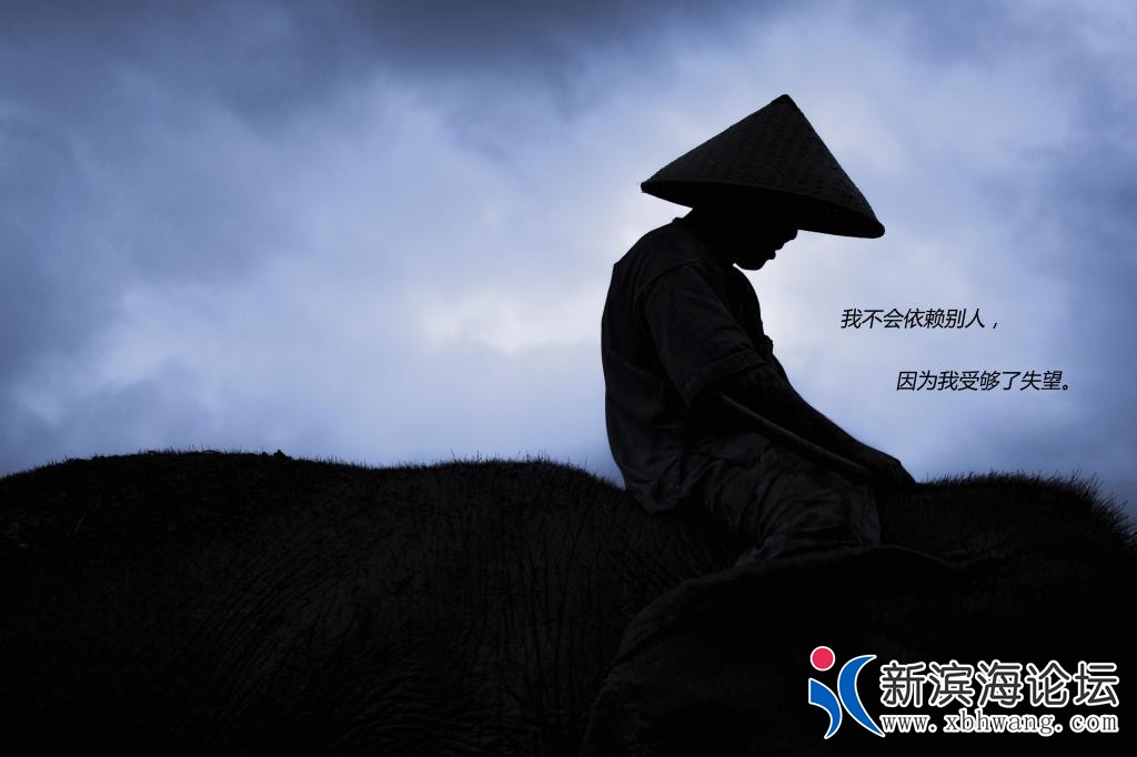528d9957cb499cb8ba865e2a3b17322a.jpg