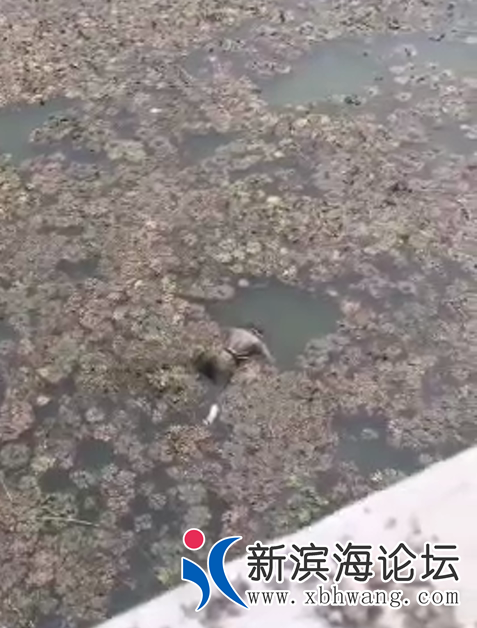 微信截图_20191022110553.png