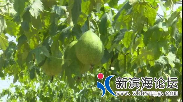 微信图片_20191023084735.jpg
