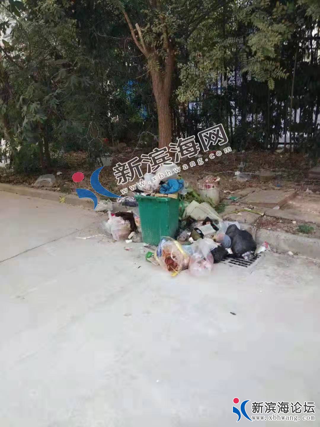 微信图片_20191028152704.jpg