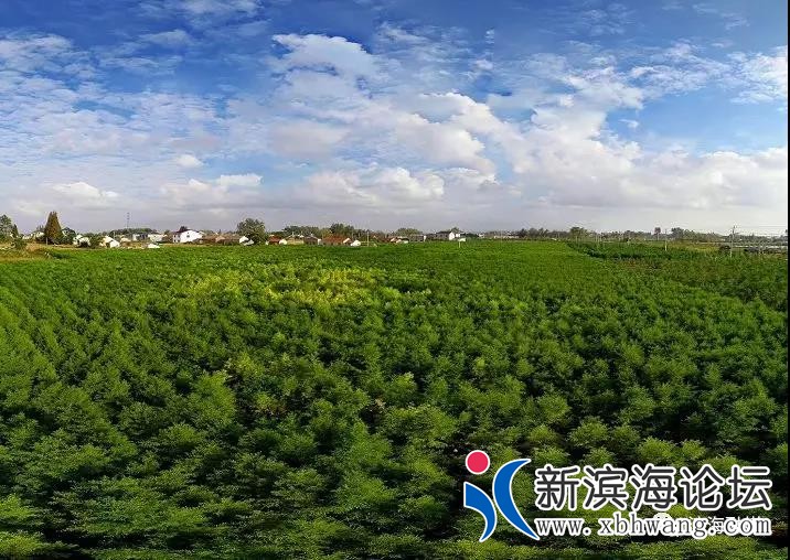 微信图片_20191030092616.jpg
