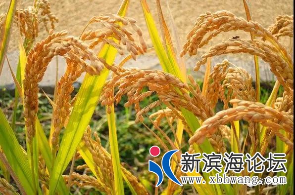微信图片_20191102093329.jpg