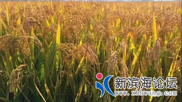 微信图片_20191102093327.jpg