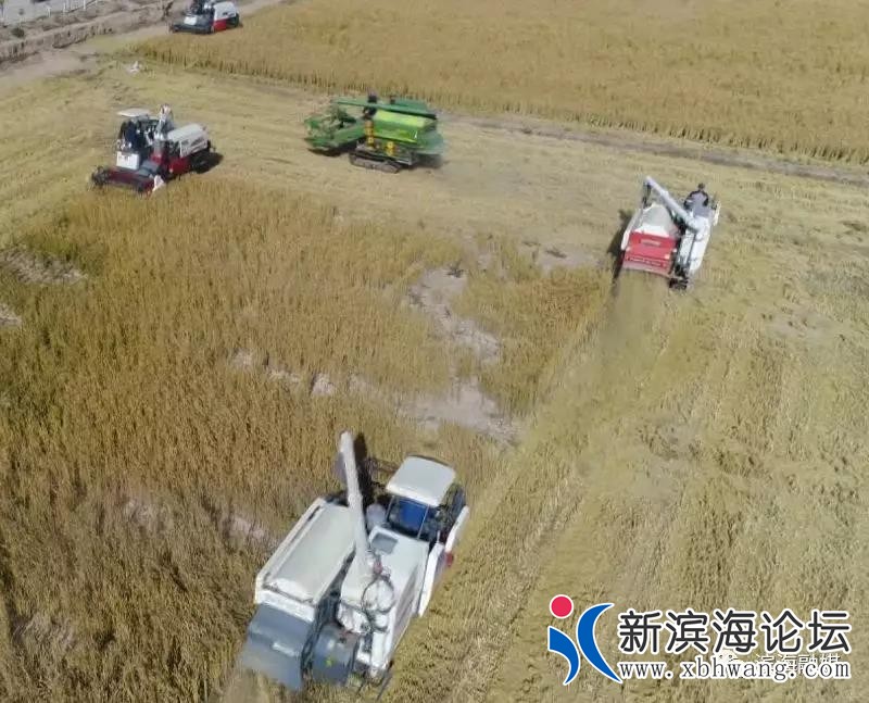 微信图片_20191102093316.jpg