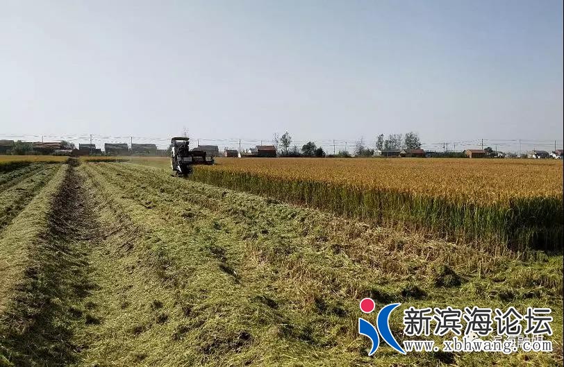 微信图片_20191102093319.jpg