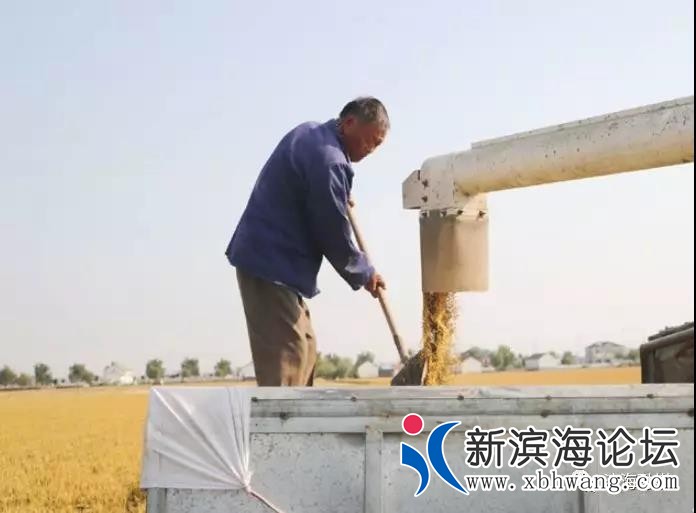 微信图片_20191102093334.jpg